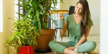 Plantas que umidificam o ar em casa