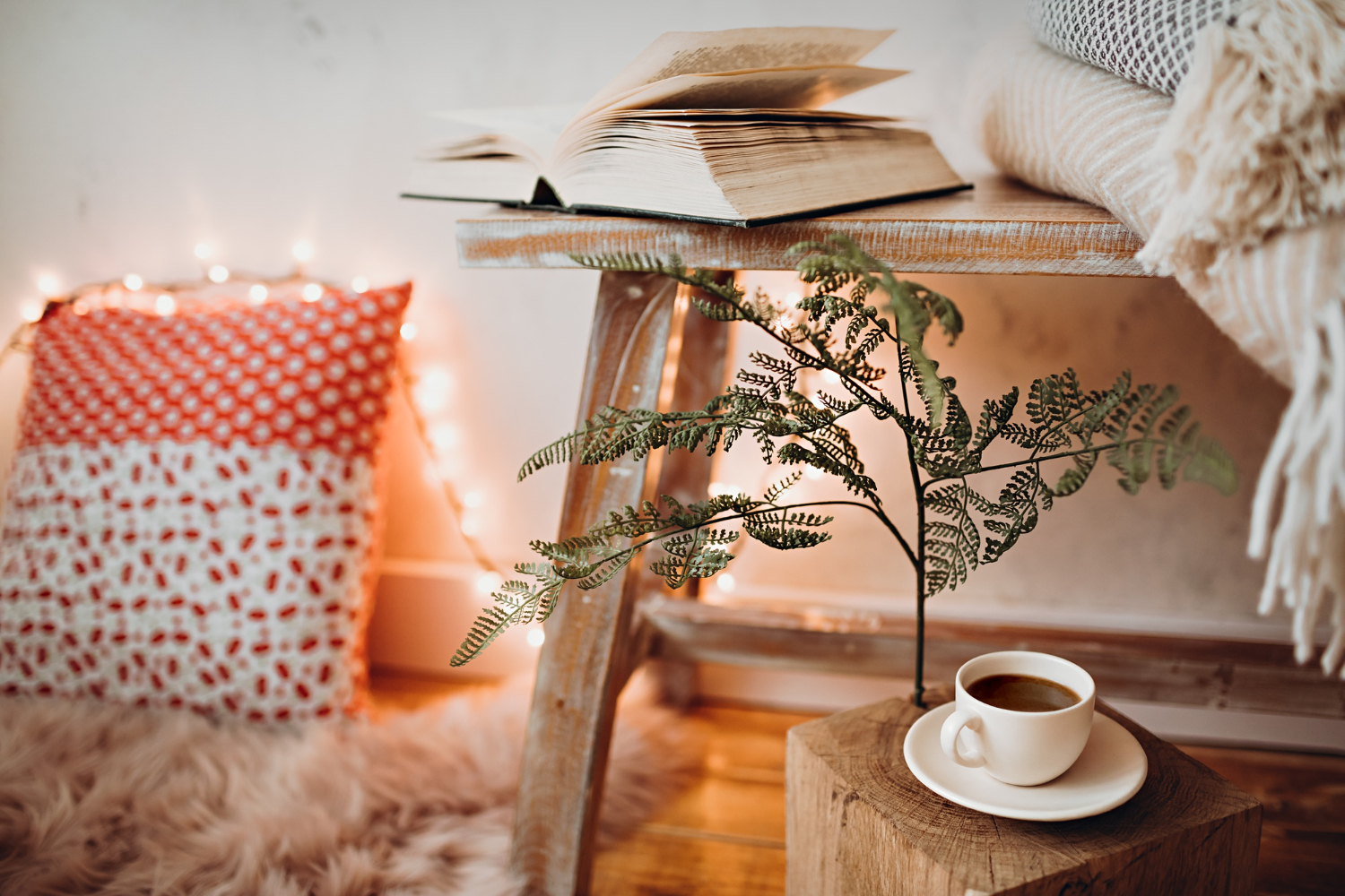 casa aconchegante com plantas decorativas